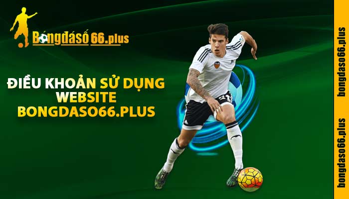 Điều khoản sử dụng website bongdaso66.plus