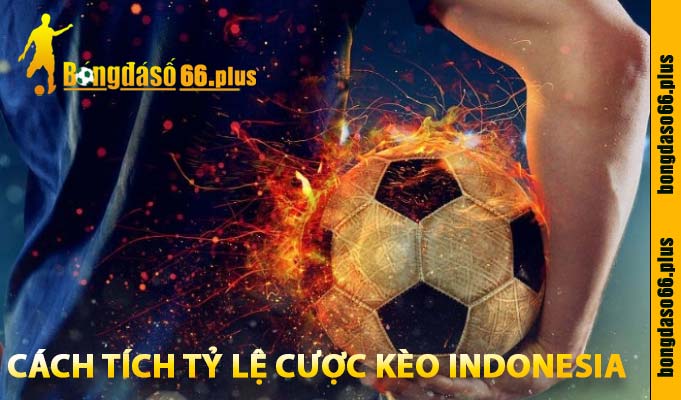 cách tích tỷ lệ cược kèo indonesia